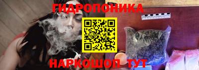 гидропоника Партизанск