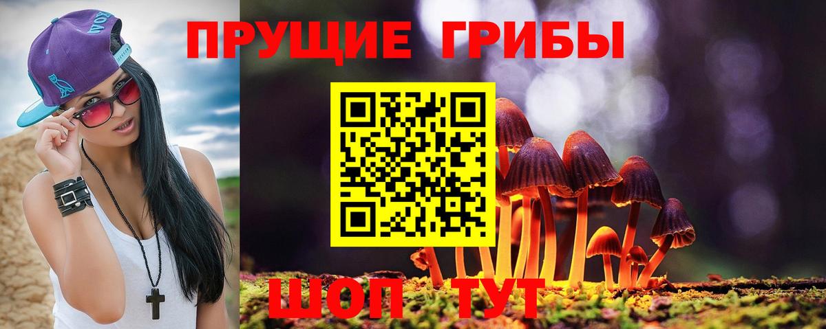 Псилоцибиновые грибы мицелий  Вход с VPN  Севастополь  Псилоцибиновые грибы Magic Shrooms 